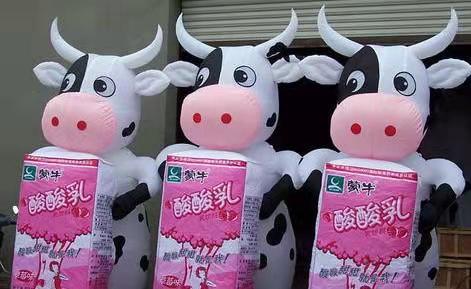 江北牛奶厂广告气模